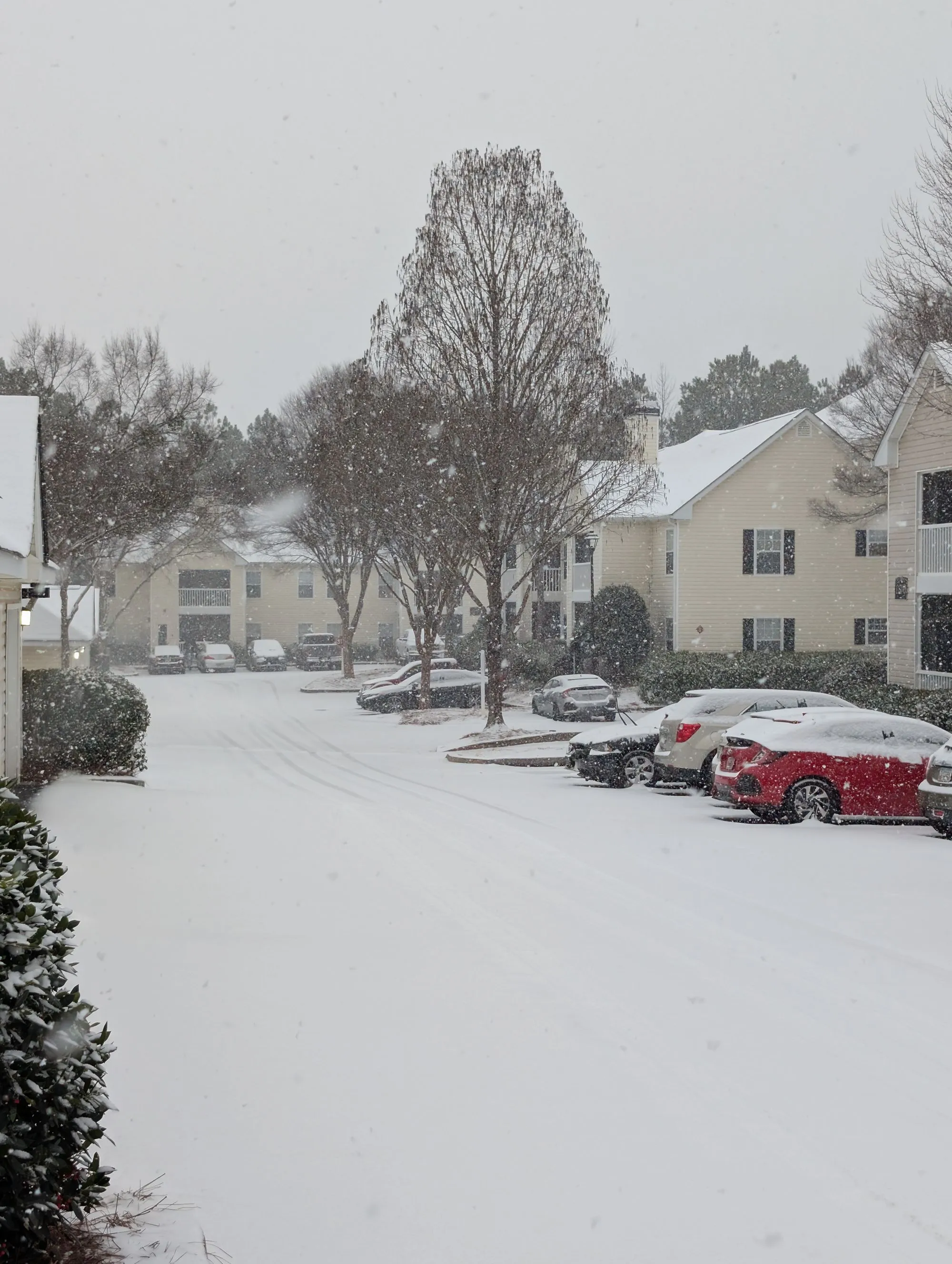 Snow falling on an apartment complex parking lot lined with cars