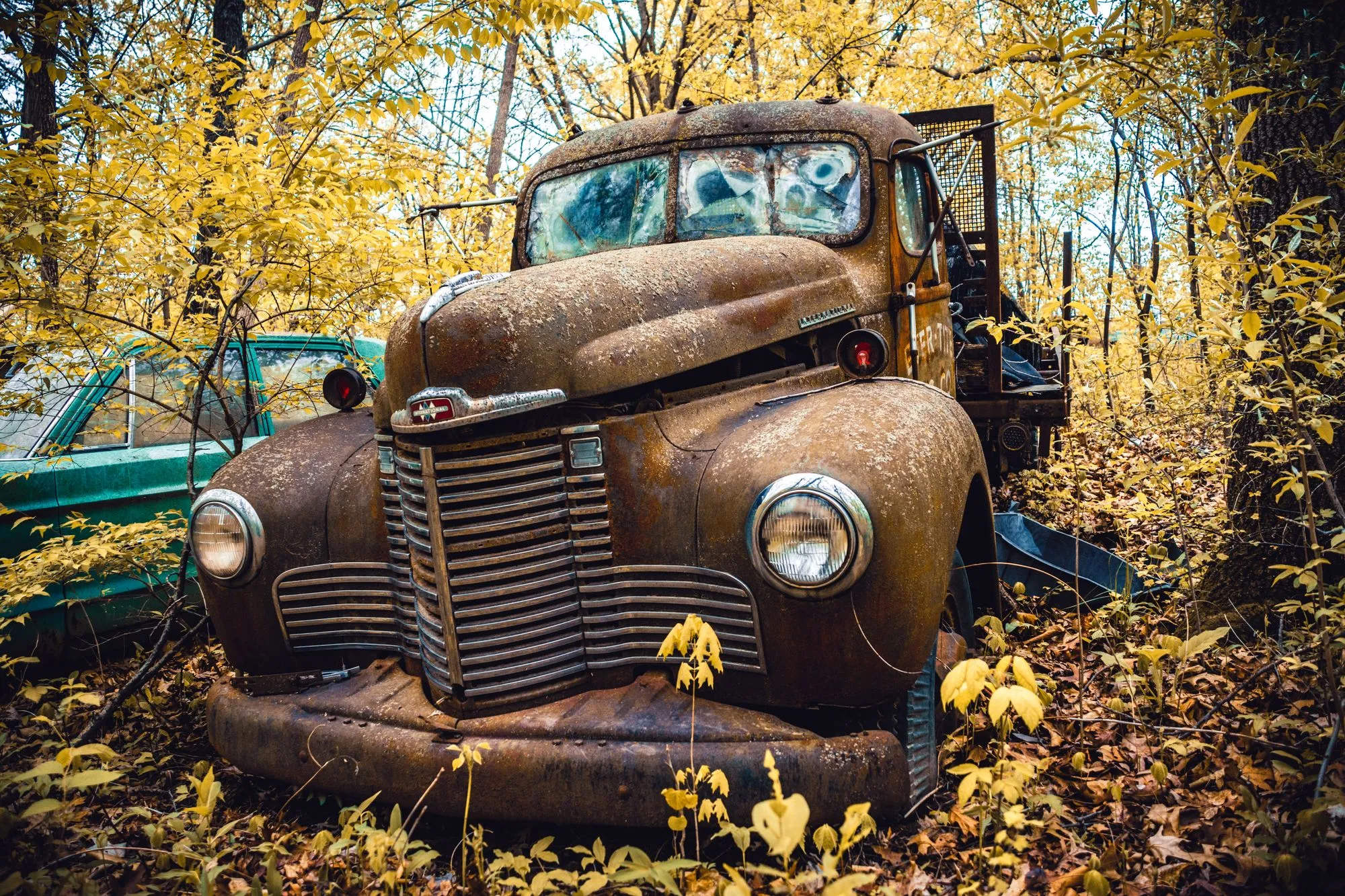 Rusted old pickup truck with a broken windshield sitting among autumn trees